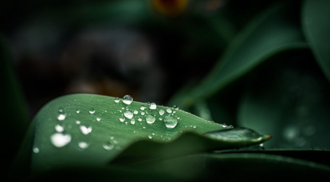 The True Meaning of Sustainability…