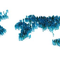 network