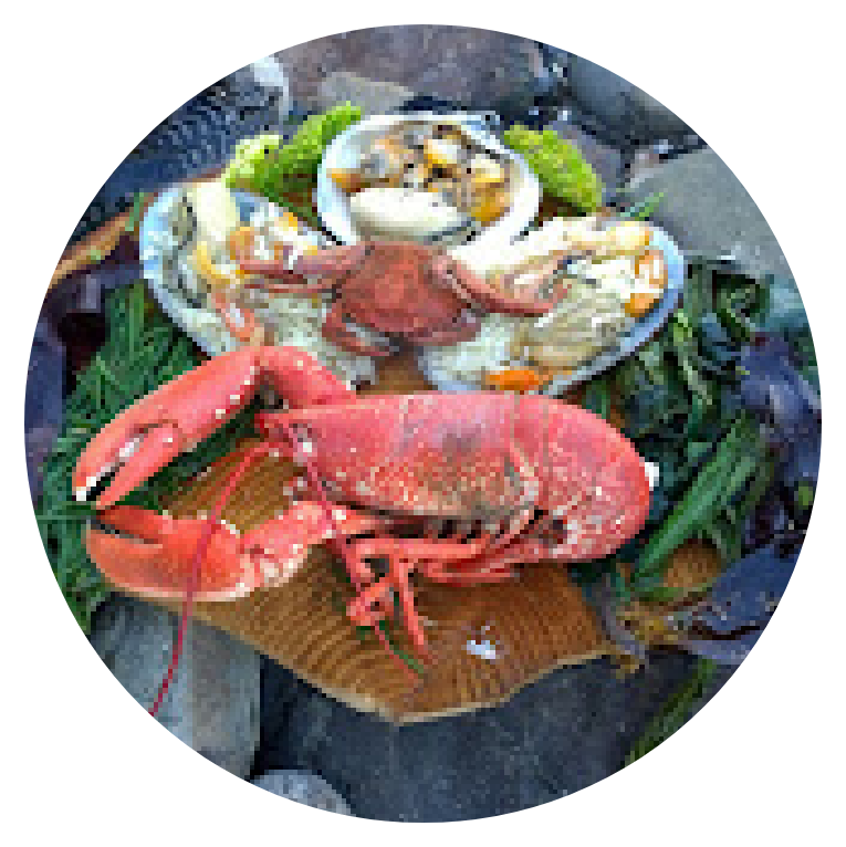 CoastalForaging