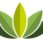 Ecomasteryproject